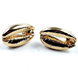 Cowrie Shell Gold Tone Stud Earrings